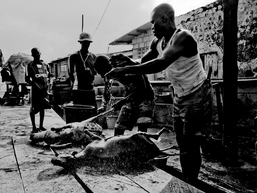 Reportage-25.jpg
